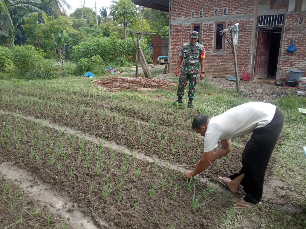 Sektor Pertanian Gampong Lueng Ie